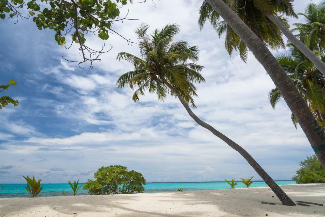 Ithaa Dhigurah - Feel Like Guest house 3*